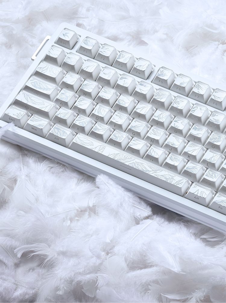 คีย์แคปลายขนนก 97 ปุ่ม โปรไฟล์ - Gaming Keyboard Tkl บทวิจารณ์และราคา